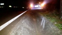 Ao desviar de carro, condutor sai da pista e bate contra árvore, às margens da BR-277