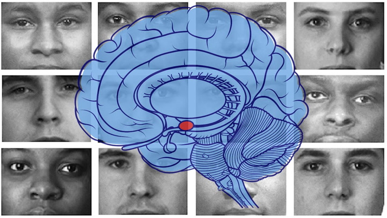The problem with implicit bias trainings