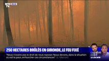 250 hectares de pins brûlés... Les images du plus important feu de forêt depuis le début de l'été en Gironde