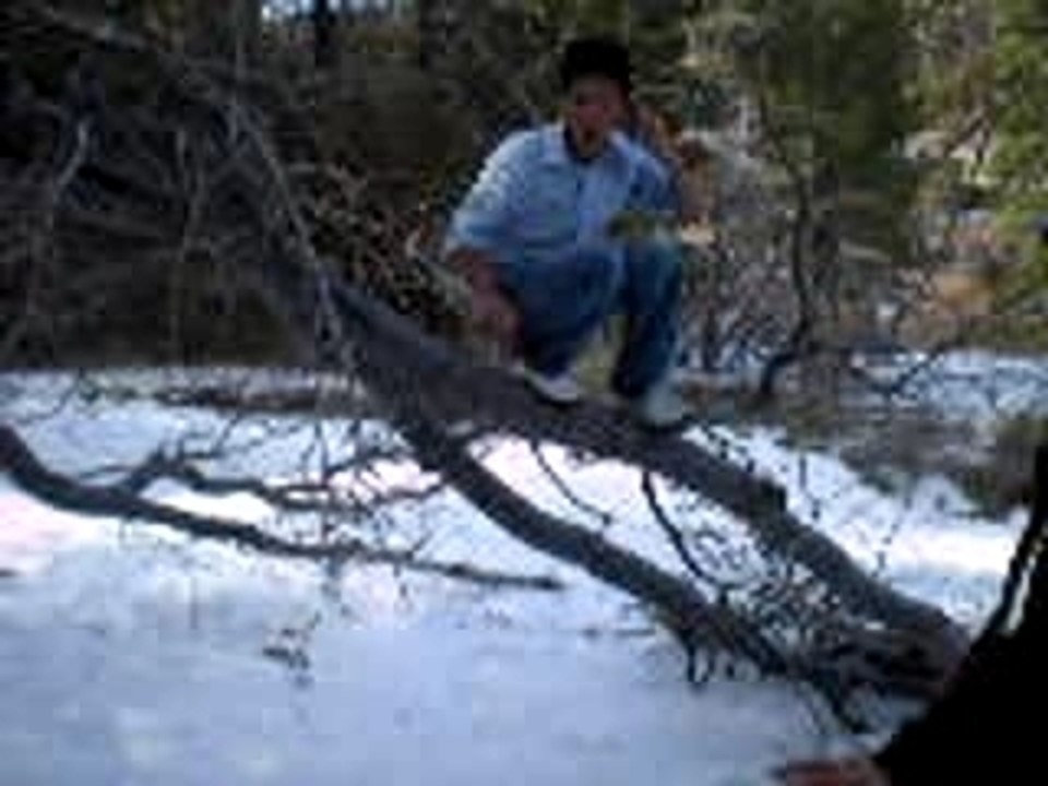Picture 036