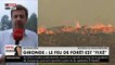 Un feu de forêt, le plus important de l'année à ce jour en Gironde a détruit près de 200 hectares de pins dans le sud du département