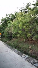 a trip to a tourist area of ​​Ba Ho, Ninh Thuan, Phan Rang, Vietnam