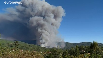 Portugália: a hadsereg is besegít az erdőtűz oltásába