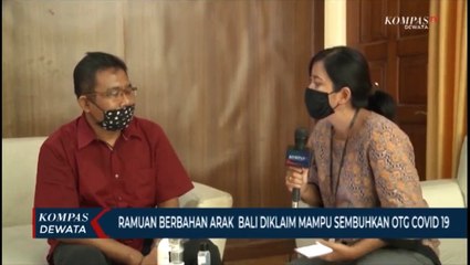 Arak Bali Diklaim Menyembuhkan Pasien OTG