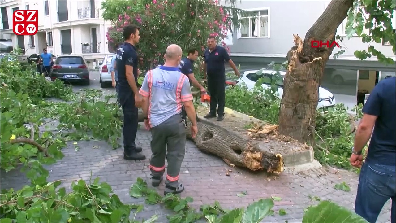 Şişli'de park halindeki iki otomobilin üzerine ağaç dalı devrildi.