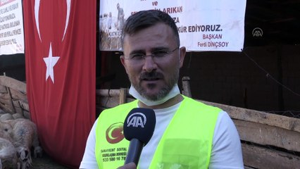 İhtiyaç sahibi 300 aileye küçükbaş kurbanlık dağıtıldı - YOZGAT