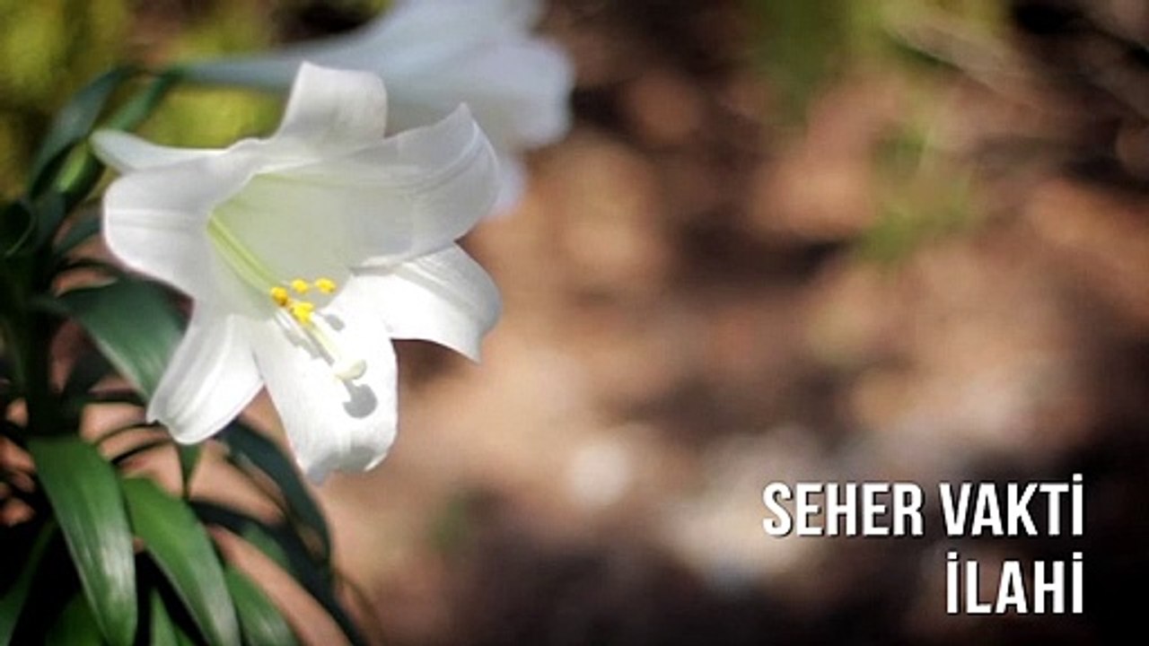 Müziksiz İlahiler - Seher Vakti