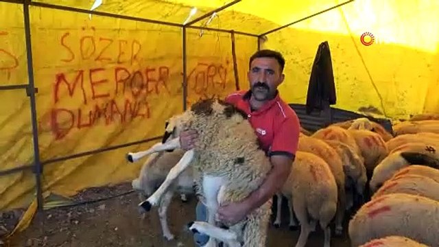 Covid-19 korkusu ile Kurban pazarları boş kaldı