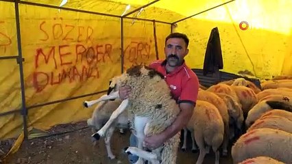 Covid-19 korkusu ile Kurban pazarları boş kaldı