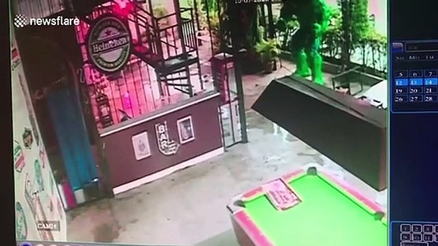 Wild monitor lizard walks through bar sending terrified customers running away