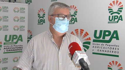 UPA-A reclama "estudios para que nadie compre por debajo de los costes de producción"