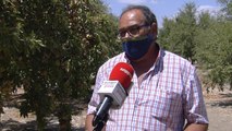 Agricultor andaluz aboga por 