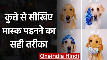 Viral Pic : कुत्ते से सीखिए मास्क पहनने का सही तरीका | वनइंडिया हिंदी