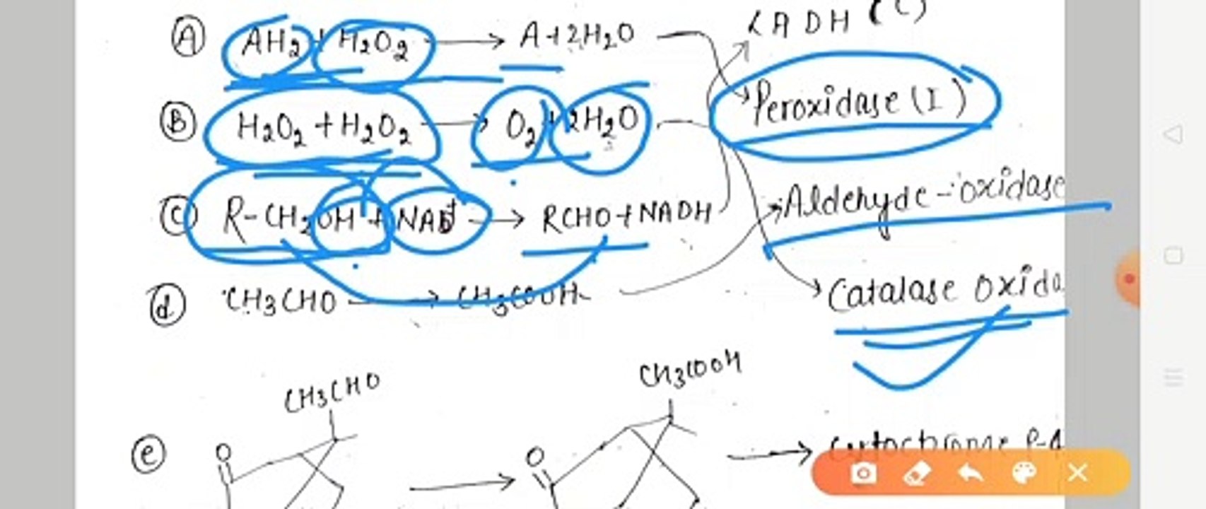 Bio inorganic Chemistry