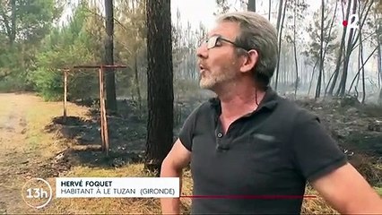 Gironde : 295 hectares brûlés par les flammes