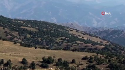 Siirt'te PKK'lı teröristlerin hain tuzağı son anda önlendi