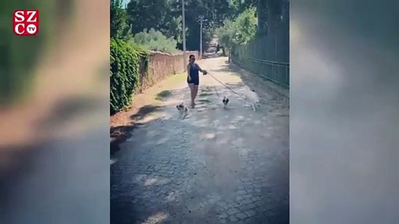 Hülya Avşar köpeklerini dolaştırırken bir hayli zorlandı
