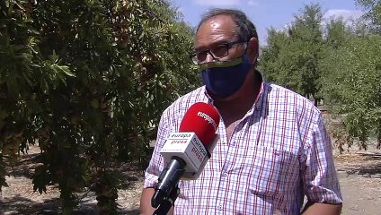 Download Video: Agricultor andaluz aboga por 