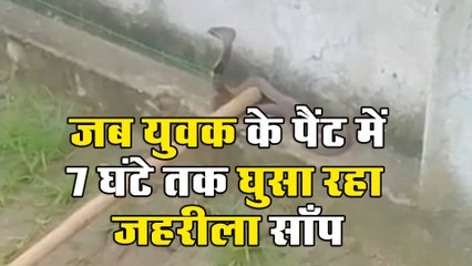 युवक के पैंट में घुसा जहरीला साँप, 7 घंटे बाद निकला बाहर