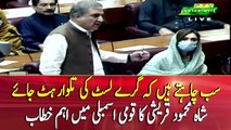 Want to remove Pakistan from FATF's grey list: Shah Mehmood Qureshi