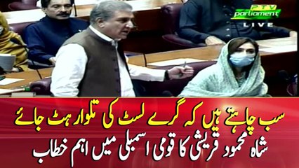 Want to remove Pakistan from FATF's grey list: Shah Mehmood Qureshi
