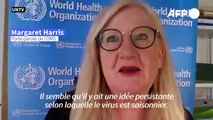 Covid-19: le virus n'est pas saisonnier, avertit l'OMS