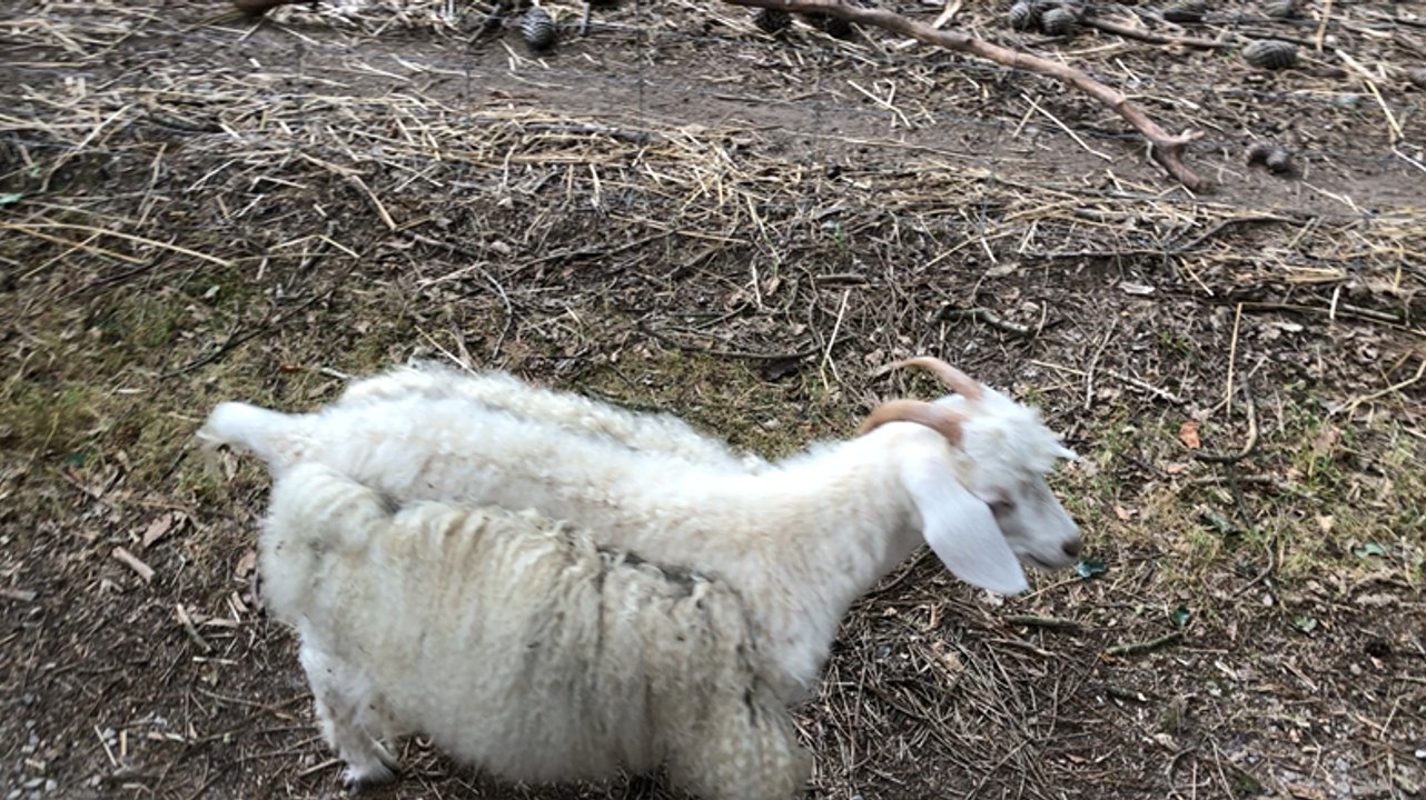 Ferme du monde