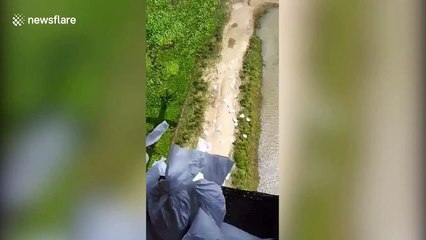 Defence force chopper airdrops relief material in flood-hit northern India