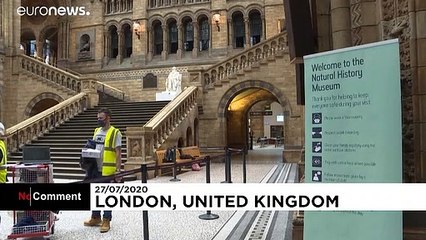 Le Musée d'histoire naturelle de Londres va rouvrir ses portes
