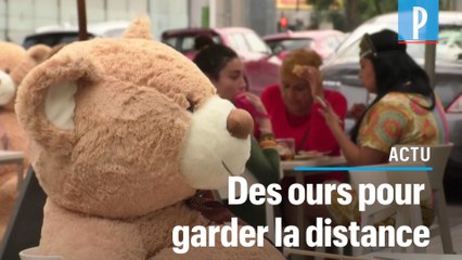 Des ours en peluche pour garder la distance dans un café au Mexique