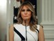 People Are Asking Melania Trump to Read the Room After Her Rose Garden Announcement