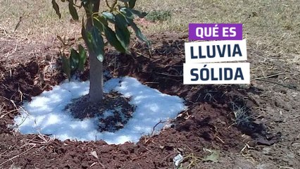 [CH] Qué es la Lluvia Sólida, la lluvia en polvo para ahorrar el 90%  de agua