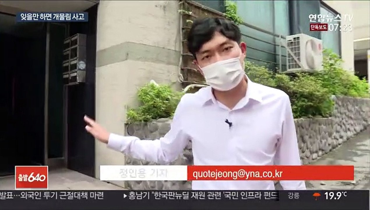[단독] 입마개 미착용 맹견 사고…반려견 죽고 주인 다쳐