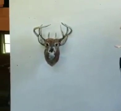 Cette oeuvre d'art est incroyable... illusion d’optique géniale