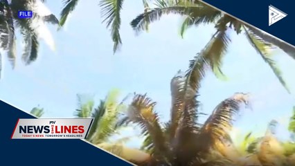 DA to coordinate with Congress regarding Coconut Farmers' Trust Fund