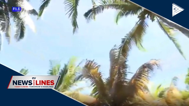 DA to coordinate with Congress regarding Coconut Farmers' Trust Fund