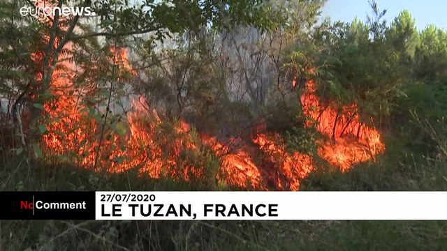 Лесной пожар в департаменте Жиронда