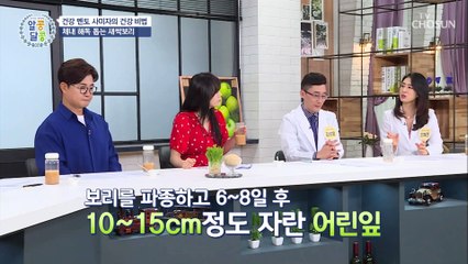 체내 해독 돕고 혈관 건강 지켜주는 ‘이것’
