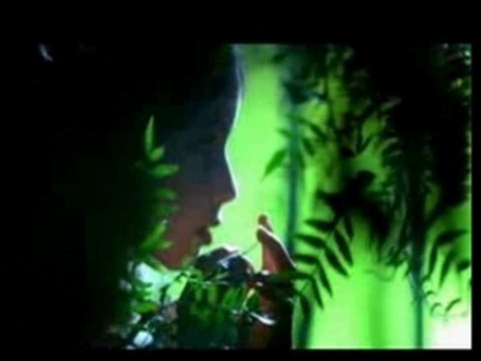 SOAD Question