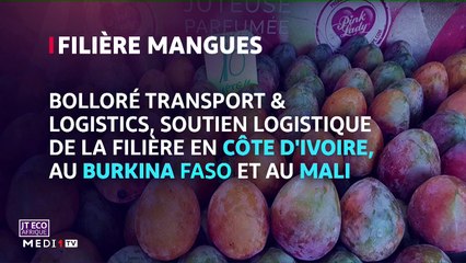 JT Eco Afrique - 06/08/2020