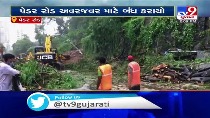 Download Video: Wall collapses at Pedder road in South Mumbai due to heavy rainfall - Tv9GujaratiNews