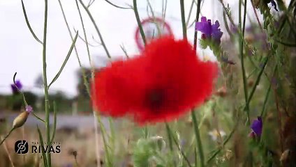 PROMO POST COVID 2020 RESTAURANTE RIVAS 2 15