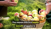 15 Surprising Health Benefits of Apples That’ll Have You Eating OneA Day.