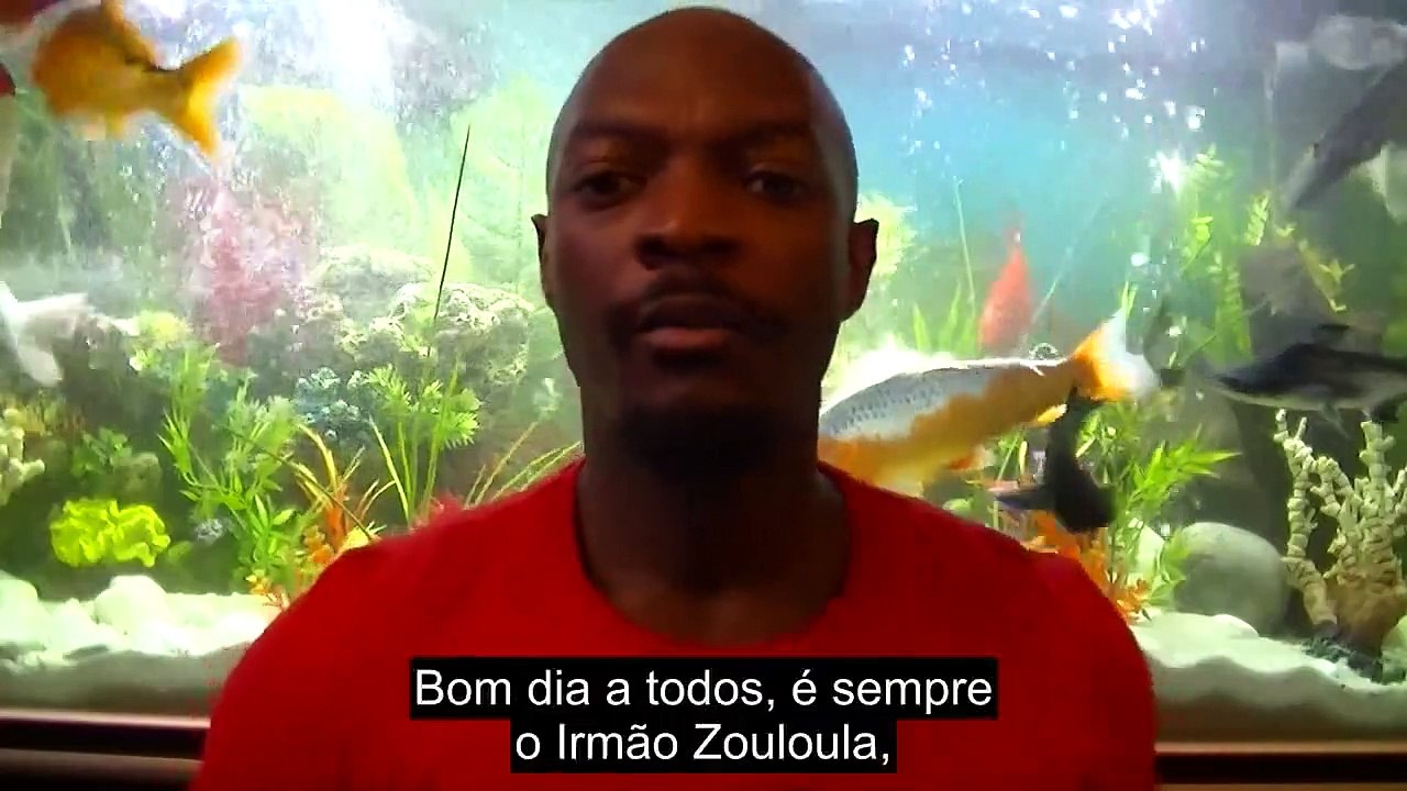 Será que Deus criou os macacos, será que o homem vem do macaco?