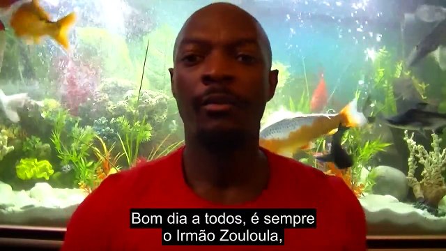 Será que Deus criou os macacos, será que o homem vem do macaco?