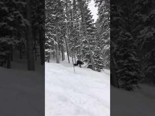 Skier Tries Doing Backflip and Faceplants Hard on Downslope