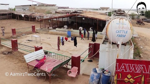 Surmawala Cattle Farm 2020 With Prices