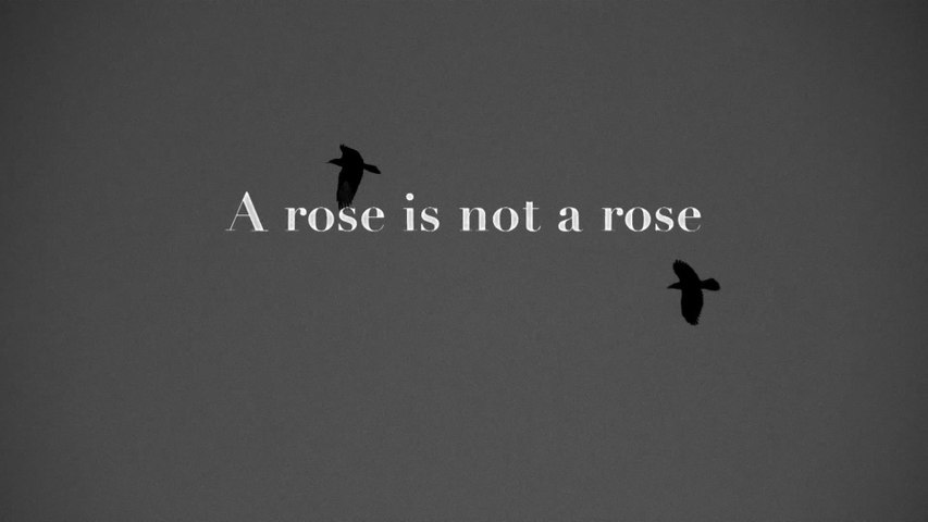 Keir - Rose