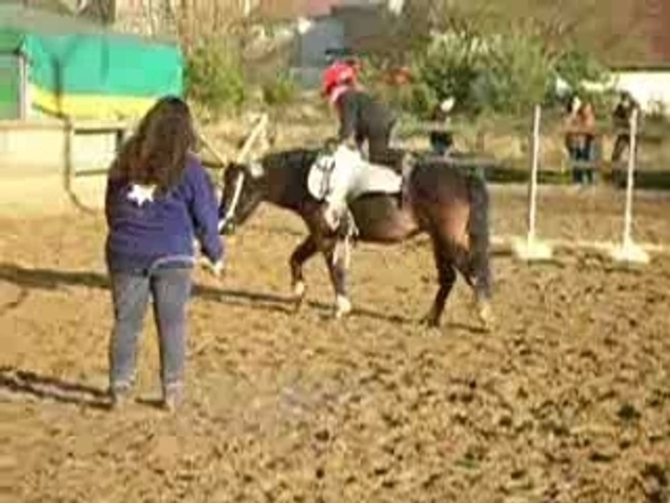 VOLTIGE 2008_0001