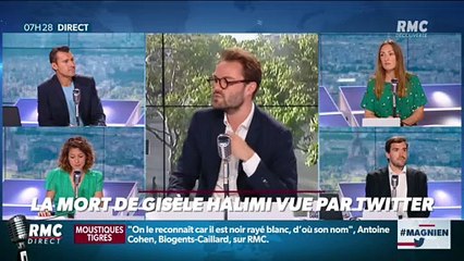 #Magnien, la chronique des réseaux sociaux : La mort de Gisèle Halimi vue par Twitter - 29/07